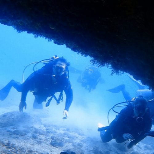 be53c3fb-49ff-4ff6-ade4-02e7e735c966