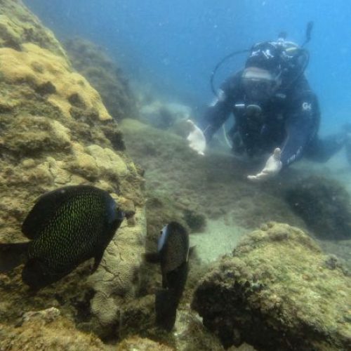 c16eb96b-7e4d-4d7b-aa7f-b23a2a6e2232