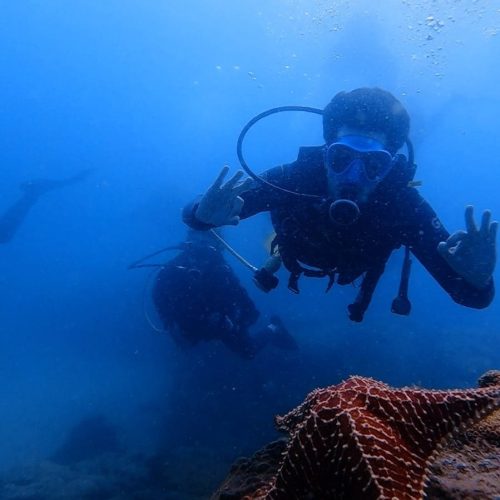 c90bcf4b-8d08-47c5-bb70-be97ba947060