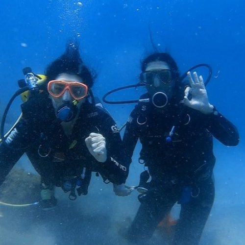 d634ad61-8018-4c67-a883-1a866afe8574