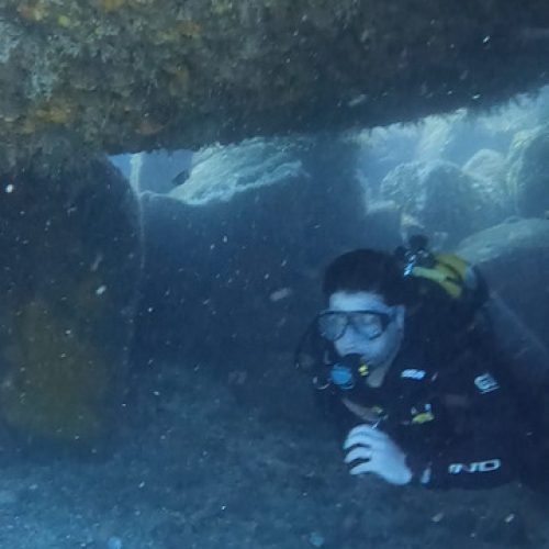 d73d1729-dca7-4f0c-a063-9df8cc6eb601