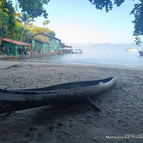 d82ea70b-c60f-41ce-8ec9-9c4c694e4790