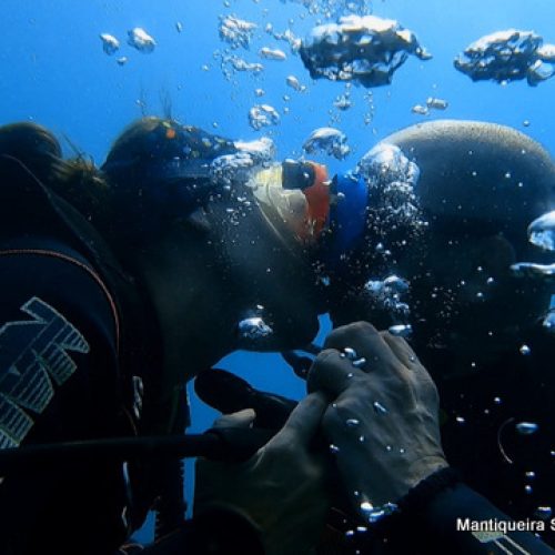 dbb32594-c857-4ea4-929f-4183c2079ac1