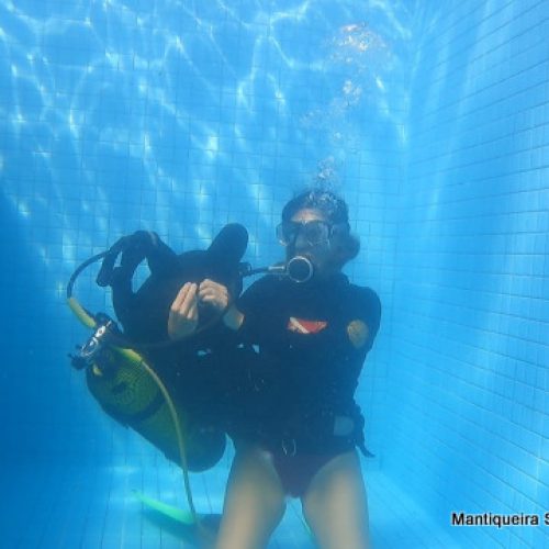 df731f43-f2d5-4d61-9fe3-6a660f2af595