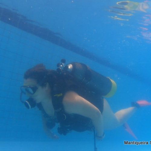 e02d3654-e749-4533-a9e9-8c2a7877949a