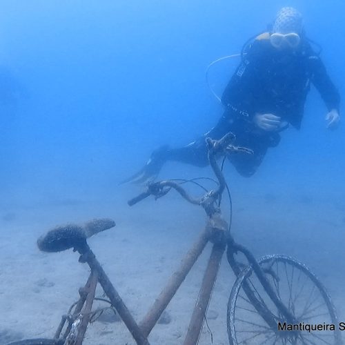 e56129a7-7372-4d16-a869-b46f010a1237