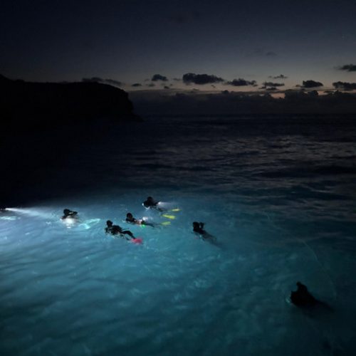 e86bbc7b-1154-4e80-b00d-bc77754d0c9c