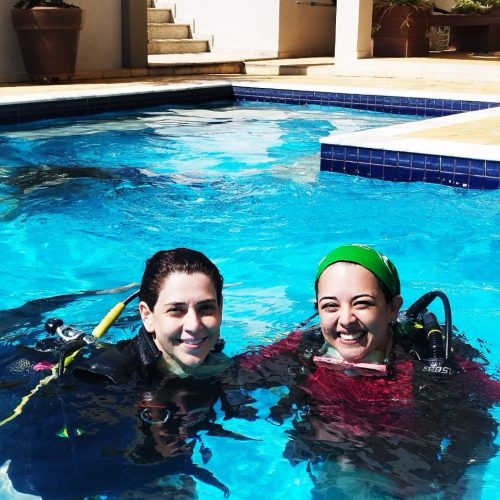 e9901305-c136-4154-8bf4-15cdd46bbf26