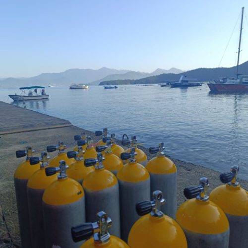 ed0d60c2-4114-4add-bf23-f0b4f28e44de