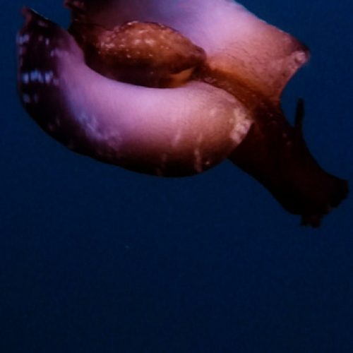 edf44484-bc0f-450c-ba54-a3153b79beeb