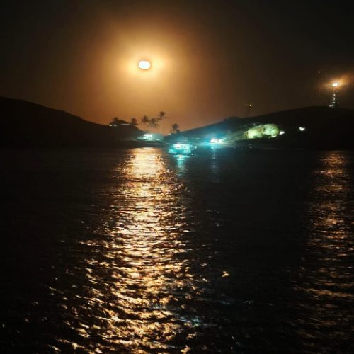 ef3bf2dd-ab49-454b-97f4-c1afcd934a48