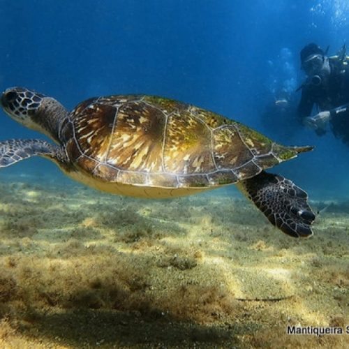 f45b4a67-3d92-485c-a6d5-ff38344646e2