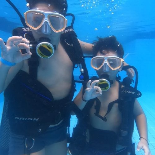 f4f3f7a6-6031-4243-ba15-e03ad8223178