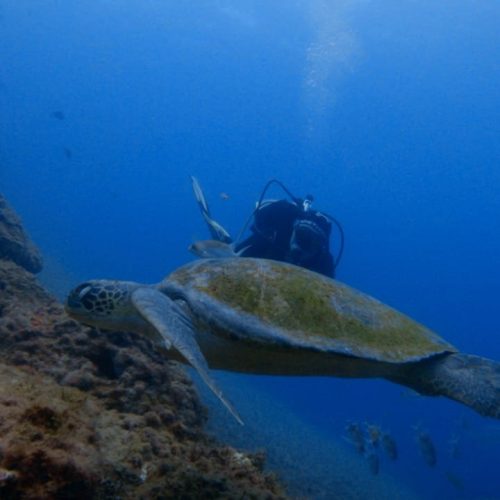 f611b363-e1d2-4ee8-abdd-9850445aa3ae