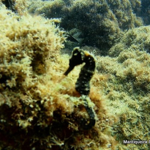 fcce28e8-0efe-4dfc-b00f-3212b6e54306