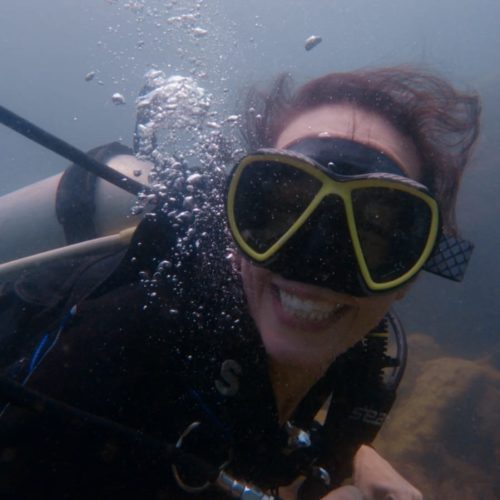 ff8752ad-ed2e-49fe-8ce9-d334e906018e